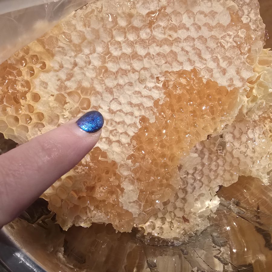 Fresh honeycomb from the farm's hives
