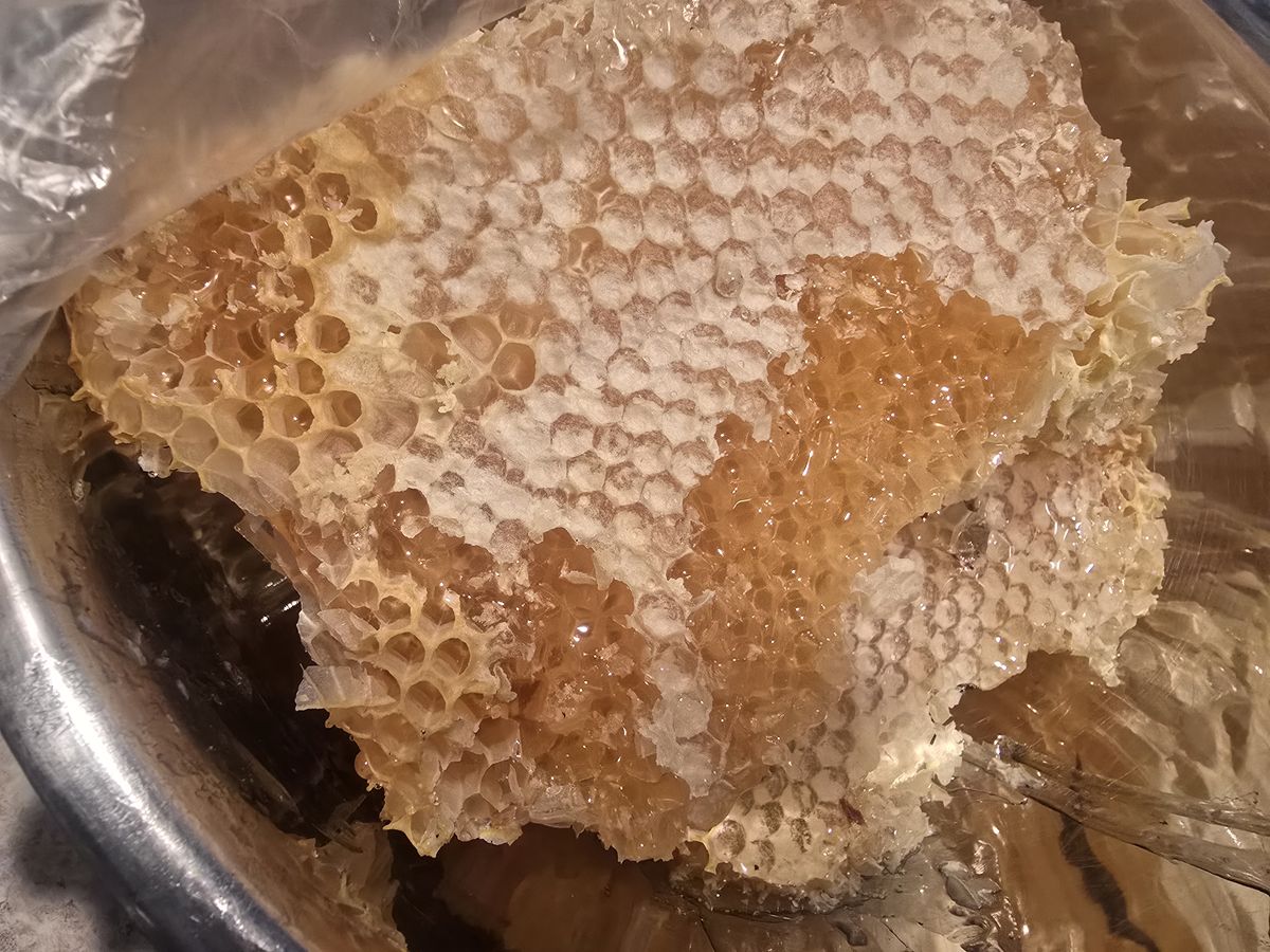 Fresh honeycomb from the farm