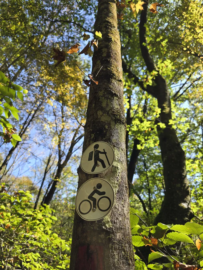 Trail sign for biking and hiking near the farm