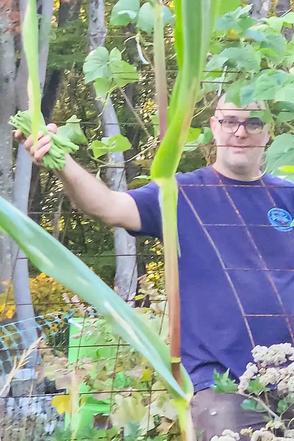 Adam in the garden among tall corn and flowers
