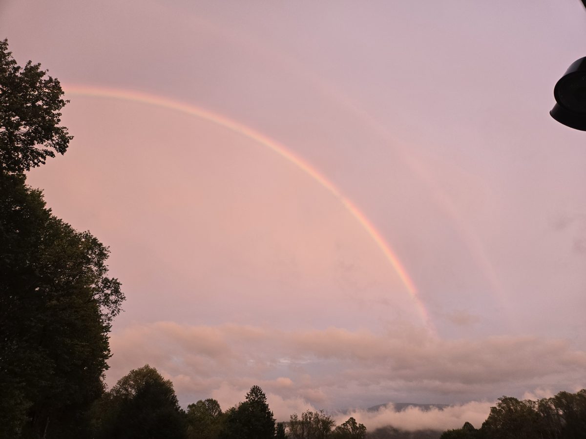 A rainbow arcing over the treeline at dusk, seen from the farm